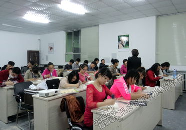 到哪里宠物美容培训好