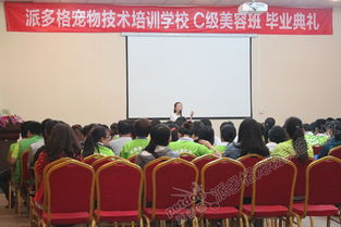 河南宠物美容学校哪家技术好