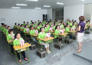 派多格宠物美容学校第46期学员作品展现专业技能与创意